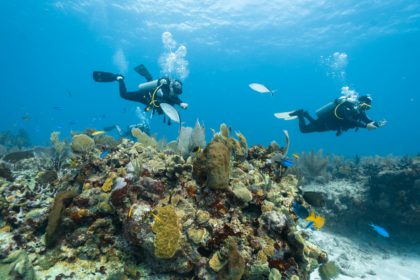 The loving couple dives among corals and fishes in the ocean